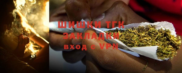 гашик Алексеевка