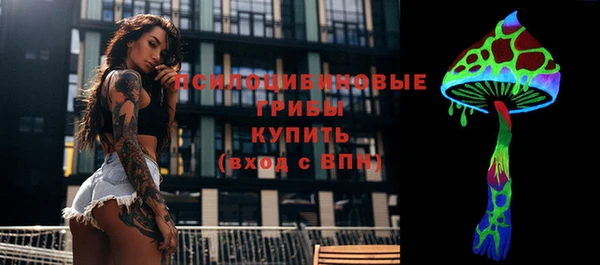 PSILOCYBIN Алексин