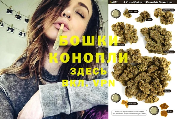 гашик Алексеевка