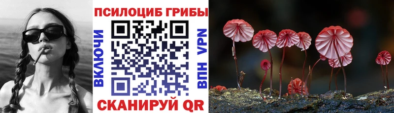 Псилоцибиновые грибы Magic Shrooms  где можно купить   Лермонтов 